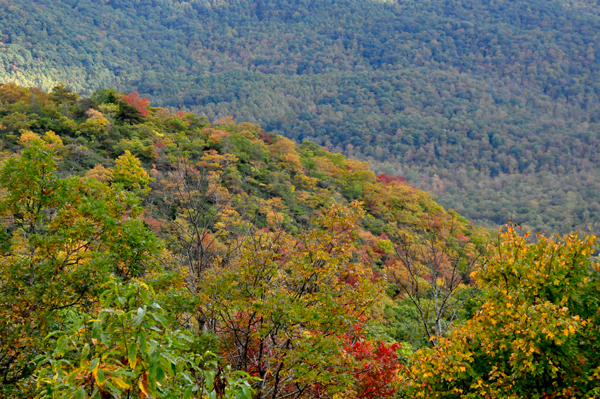 fall colors on The Blue Ridge Parkway